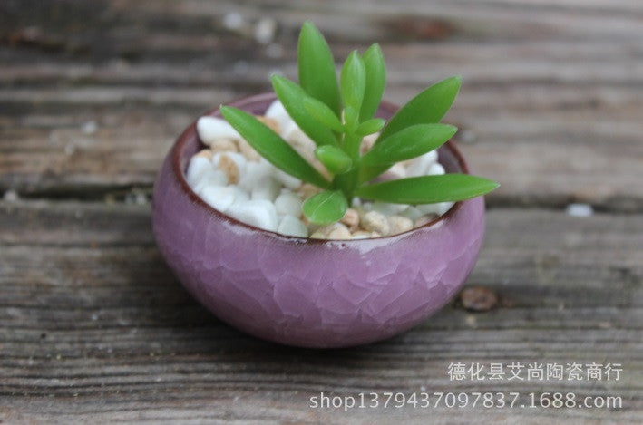 Ceramic 2 Inch Bonsai Succulent Flower Pots – Micro Landscape Design