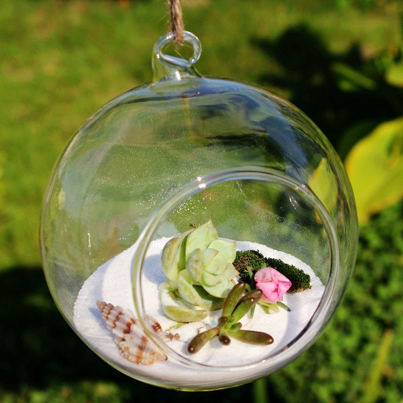 hanging plant globes Hanging Round Glass Terrarium Globe 10 cm – Micro Landscape Design