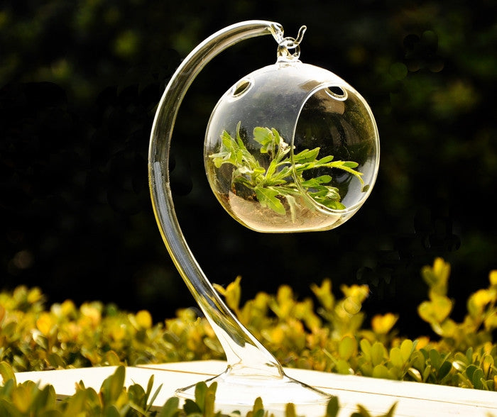 hanging plant globes Hanging Glass Terrarium Globe with Glass Stand – Micro Landscape Design