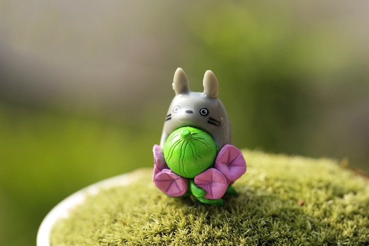 yellow moon dwarf ’totoro’ sporeling 305 yellow moon dwarf 'totoro' sporeling 13 Willinckii Yellow