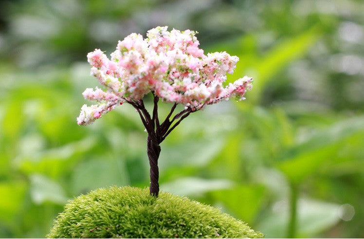 mini cherry blossom bonsai tree Fairy Garden Miniature Cherry Blossom Trees (3 pcs) – Micro Landscape Design