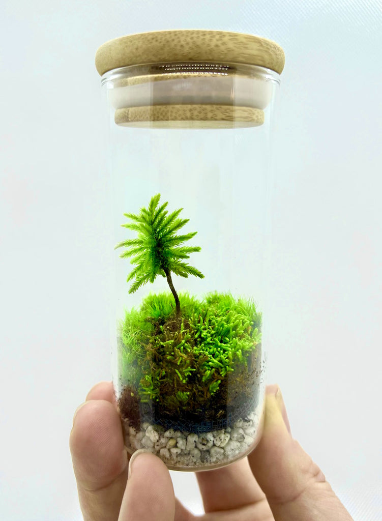 Moss pie