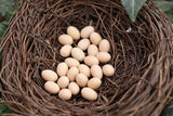 Miniature Bird Nest with Eggs