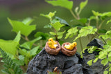 Miniature Bird Nest with Eggs