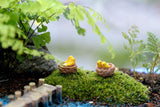 Miniature Bird Nest with Eggs