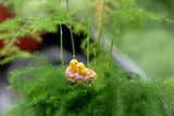 Miniature Bird Nest with Eggs