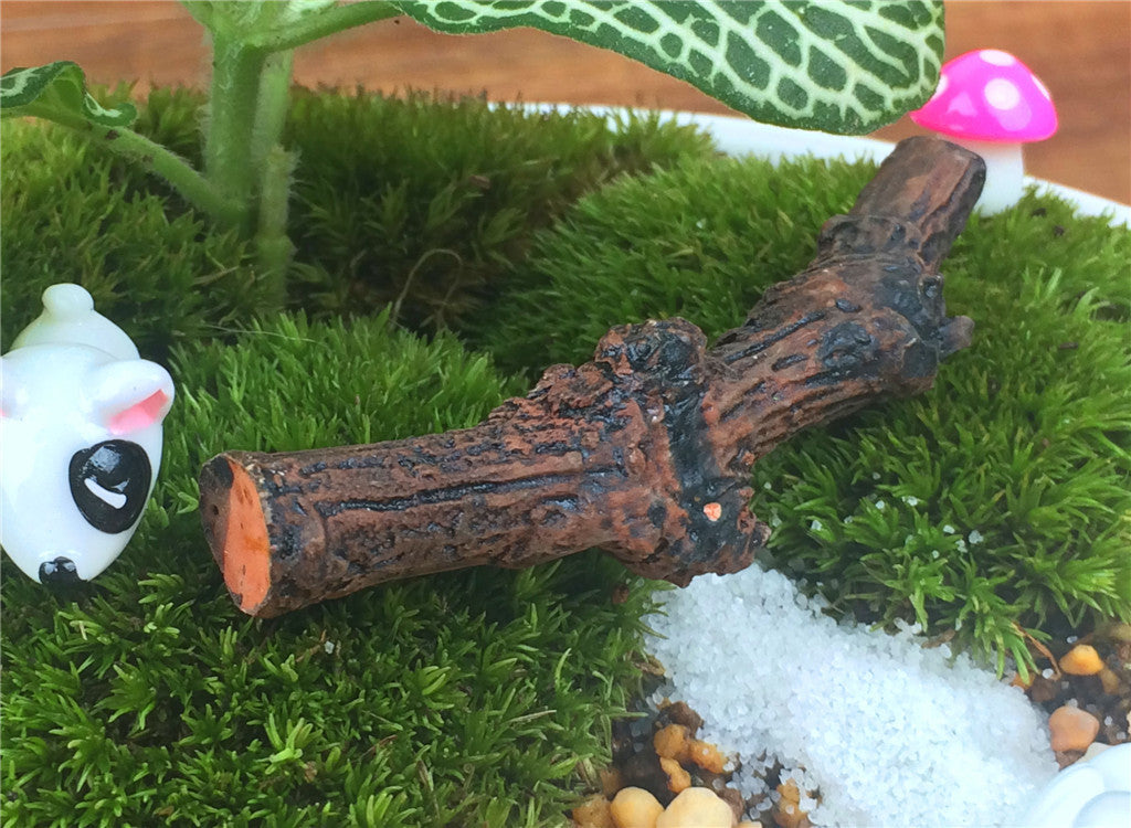 Miniature Tree Trunk – Micro Landscape Design