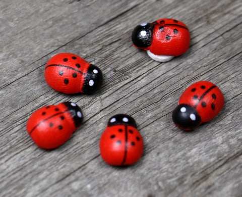 Miniature Ladybugs (10 pcs)