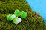 Miniature Cabbage (2 pcs)