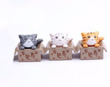Miniature Cat in the Box (3 pcs)