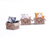 Miniature Cat in the Box (3 pcs)