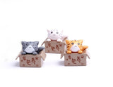 Miniature Cat in the Box (3 pcs)