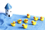 Miniature Duck (5 pcs)
