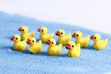 Miniature Duck (5 pcs)