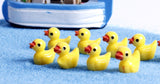Miniature Duck (5 pcs)