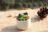 Miniature Elephant Set(3 pcs)