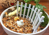 Fairy Garden Miniature Fences