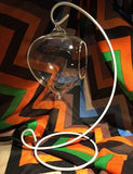 Glass Globe Stand With Stand