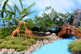 Miniature Giraffe