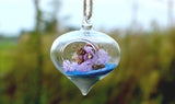 Hanging Heart Shape Glass Terrarium Globe 10 cm