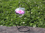 Hanging Heart Shape Glass Terrarium Globe 10 cm