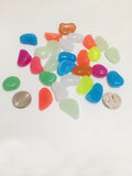 Glow in the Dark Pebble (30 pcs)