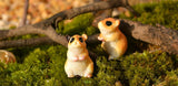Miniature Hamsters (2 pcs)