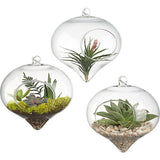 Hanging Heart Shape Glass Terrarium Globe 10 cm
