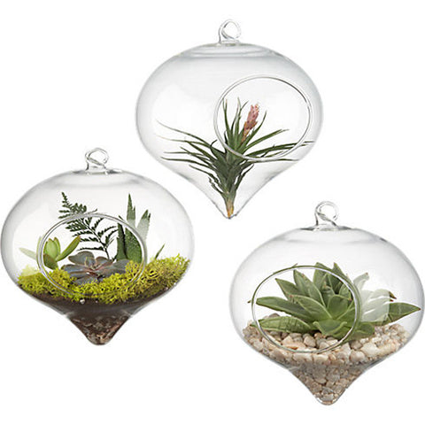 hanging succulent globe Hanging Heart Shape Glass Terrarium Globe 10 cm – Micro Landscape Design