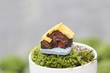 Fairy Garden House Straw Hut