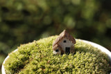 Fairy Garden House Mini Cottage