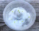 20 Seeds Exotic Karasmontana V Mickbergensis var Red Top