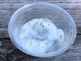 10 Seeds Rare Authentic Monilaria Moniliforme