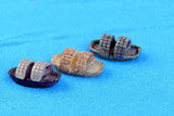 Fairy Garden Boat (2 pcs)