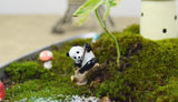 Miniature Panda Bear