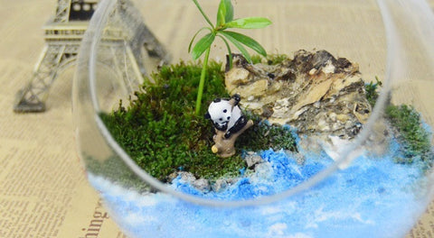 4pcs/set Cute Panda Moss Micro Landscape Terrarium Figurine Decoration  ResiA@t@