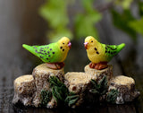 Miniature Parakeet Parrots (2 pcs)