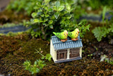 Miniature Parakeet Parrots (2 pcs)