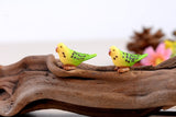 Miniature Parakeet Parrots (2 pcs)