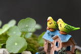 Miniature Parakeet Parrots (2 pcs)
