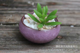 Ceramic 2 Inch Bonsai Succulent Flower Pots