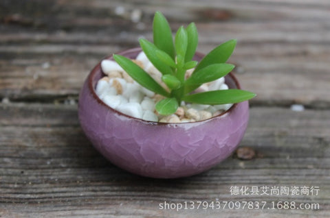 2 in plant pots Ceramic 2 Inch Bonsai Succulent Flower Pots – Micro Landscape Design
