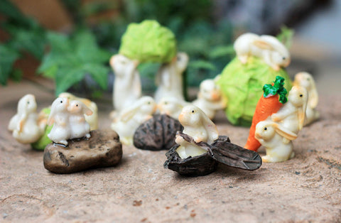Miniature Rabbits Large