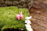 Miniature Rabbits Red and White (2 pcs)