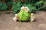 Miniature Rabbits Large