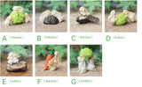 Miniature Rabbits Large