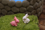 Miniature Rabbits Red and White (2 pcs)