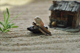 Miniature Rabbits Large