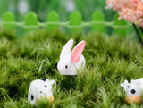 Miniature Rabbits (3 pcs)