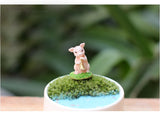 Miniature Animal Music Band